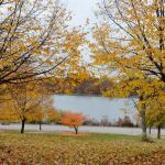 Silver Lake Park