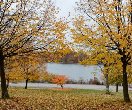 Silver Lake Park