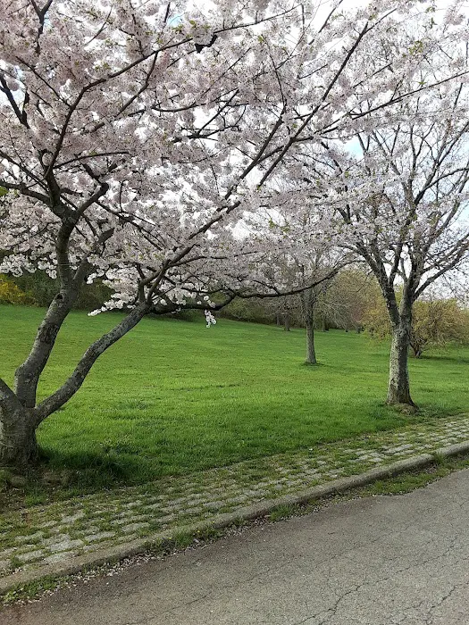 Silver Lake Park Picture 10