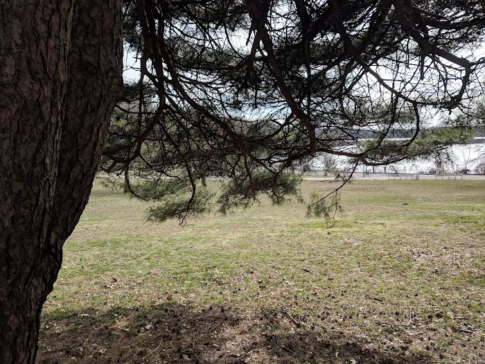 Forest Mall Picture 2