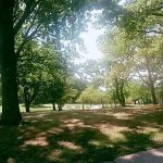 Forest Mall
