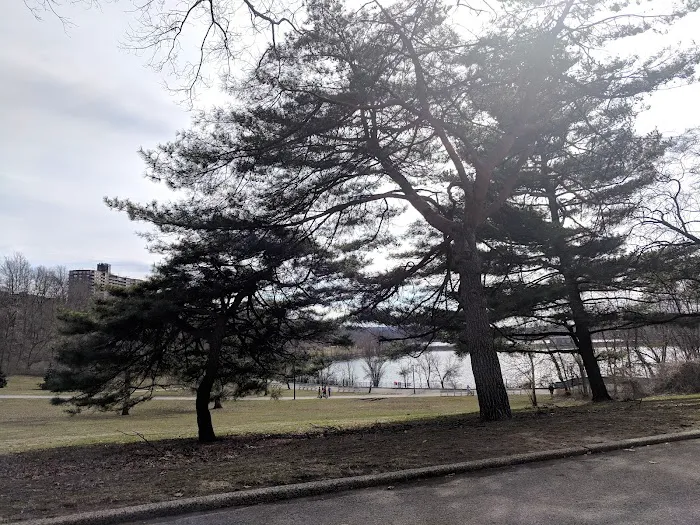 Forest Mall Picture 6