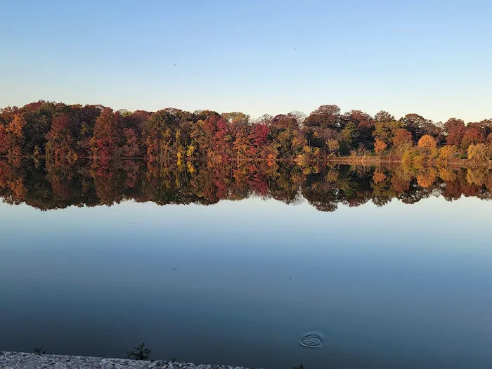 Silver Lake Reservoir Picture 4