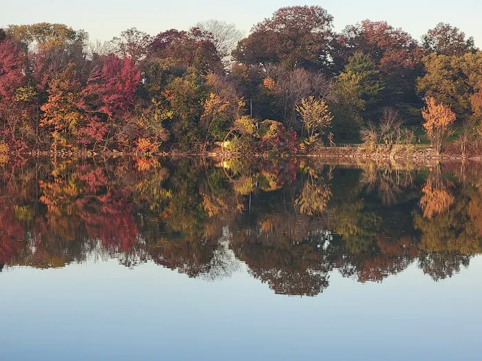 Silver Lake Reservoir Picture 3