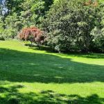 Hero Park