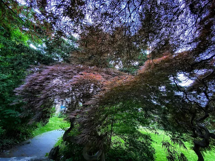 Hero Park Picture 3