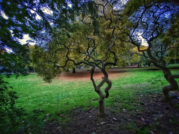 Hero Park Picture 5