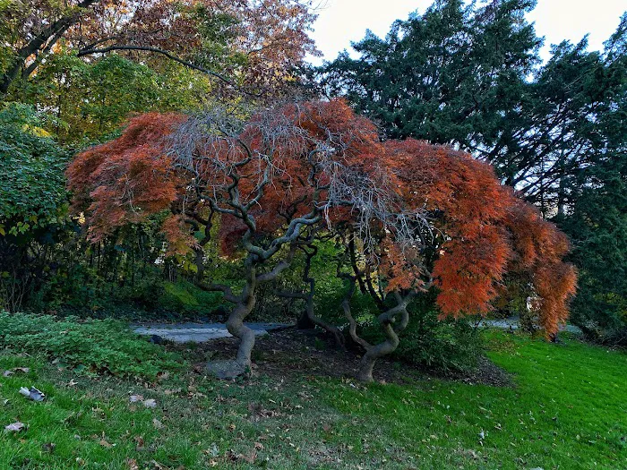 Hero Park Picture 10