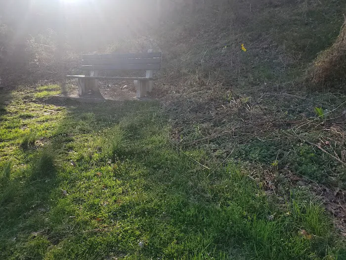 Serpentine Commons Picture 10