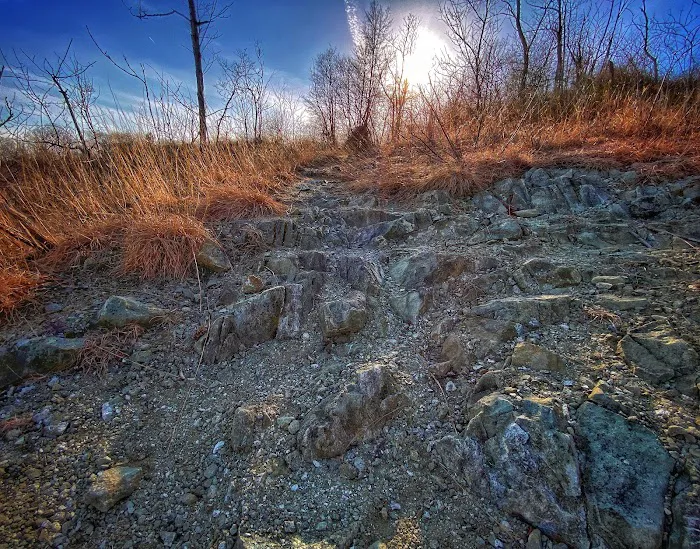 Serpentine Commons Picture 3