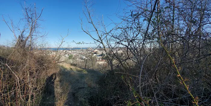 Serpentine Commons Picture 1