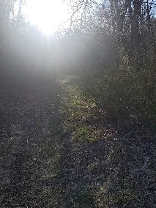 Serpentine Commons Picture 6