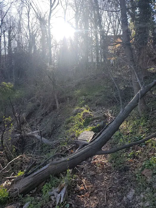 Serpentine Commons Picture 9