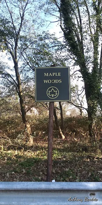 Maple Woods Picture 5