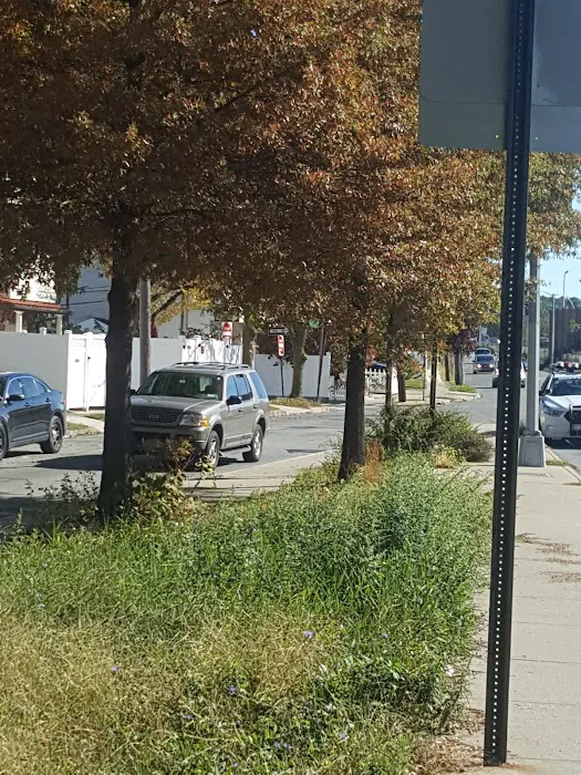 Targee Street Triangle Picture 9