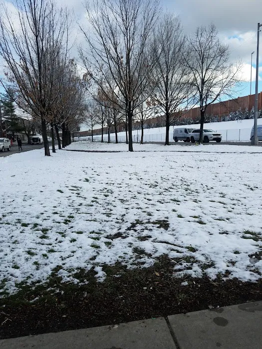 Targee Street Triangle Picture 10