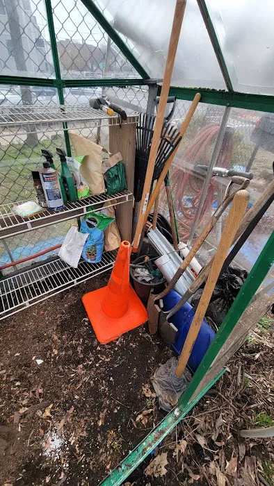 Roots of Piece Community Garden Picture 4