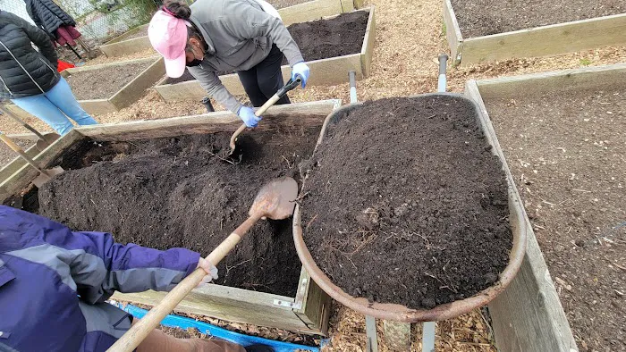 Roots of Piece Community Garden Picture 2