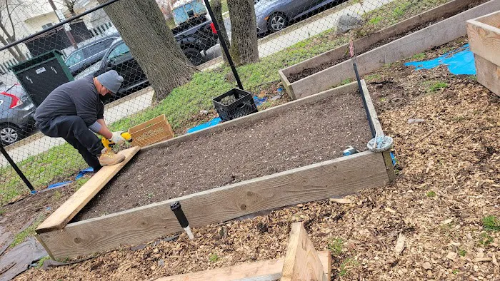 Roots of Piece Community Garden Picture 3