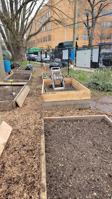 Roots of Piece Community Garden Picture 9