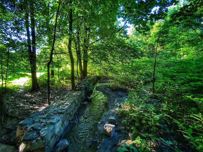 Allison Pond Park Picture 9