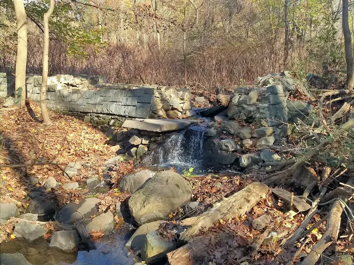 Allison Pond Park Picture 10