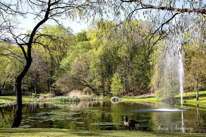 Allison Pond Park Picture 1