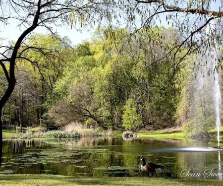 Allison Pond Park
