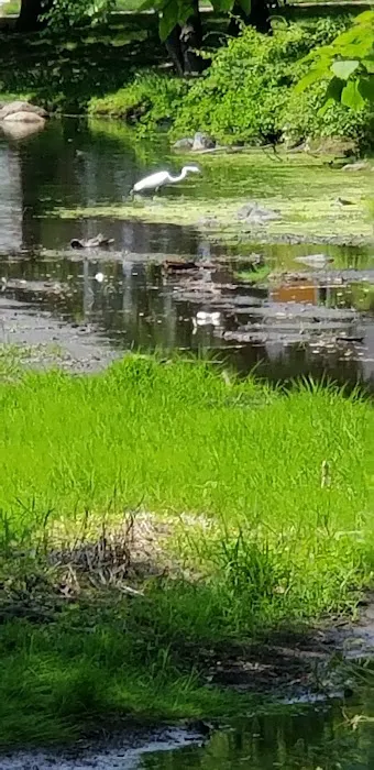 Allison Pond Park Picture 8