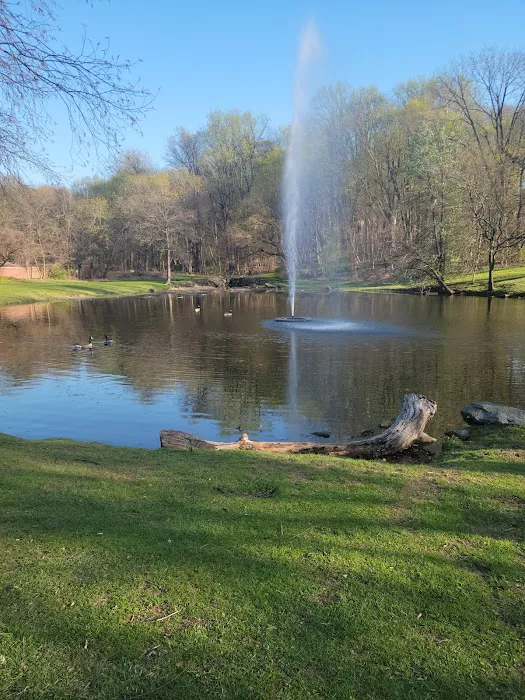 Allison Pond Park Picture 4