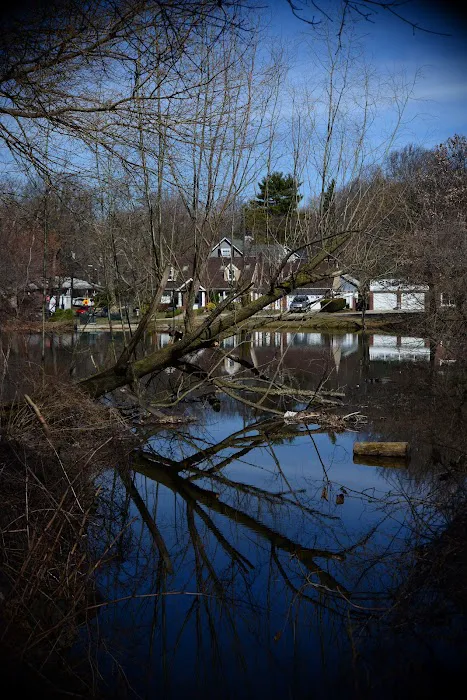 Allison Pond Park Picture 2