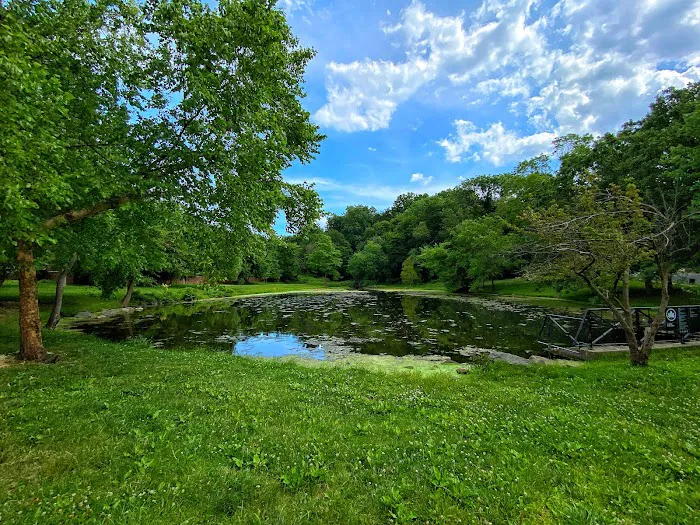 Allison Pond Park Picture 7