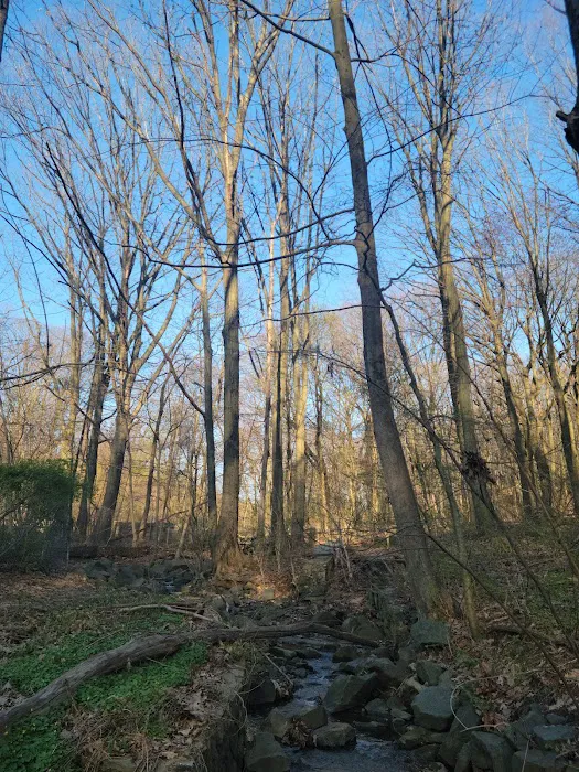 Allison Pond Park Picture 3