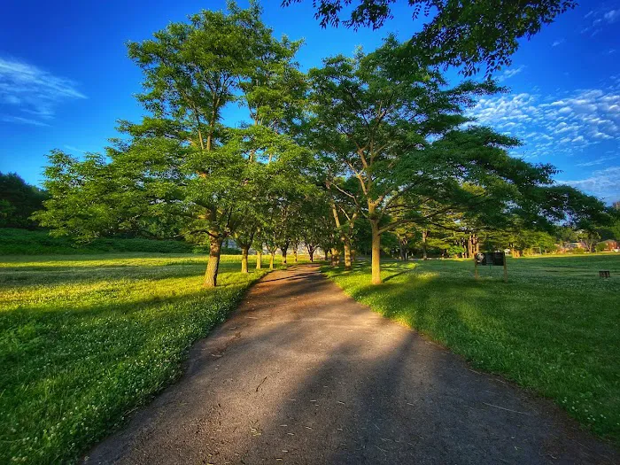 Goodhue Park Picture 7