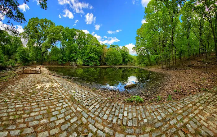 Goodhue Park Picture 5