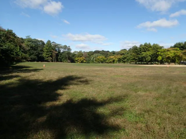 Goodhue Park Picture 1