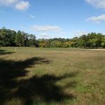 Goodhue Park