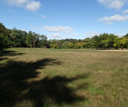 Goodhue Park