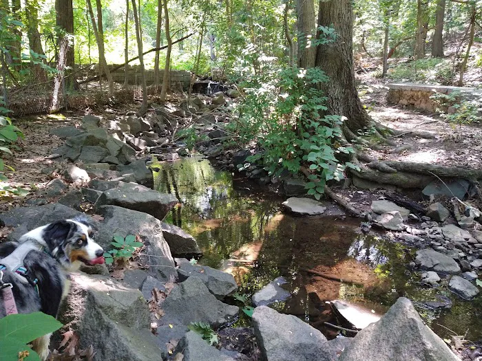 Goodhue Park Picture 8
