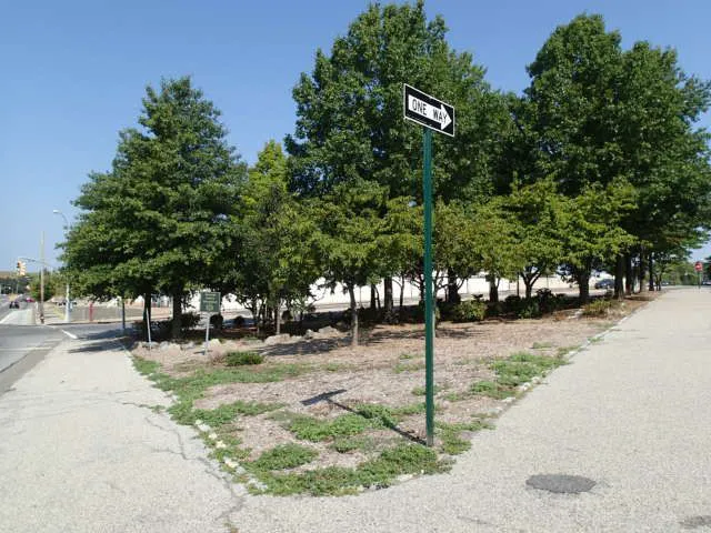 Marsh Point Triangle Picture 1