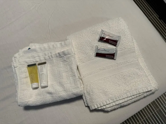 Essence Express Elizabeth Picture 8