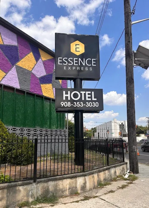 Essence Express Elizabeth Picture 6