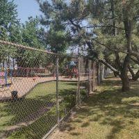 Macaluso Park ico