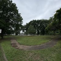 Columbus Park ico