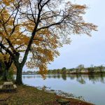 Daniel Morris Park