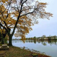 Daniel Morris Park ico