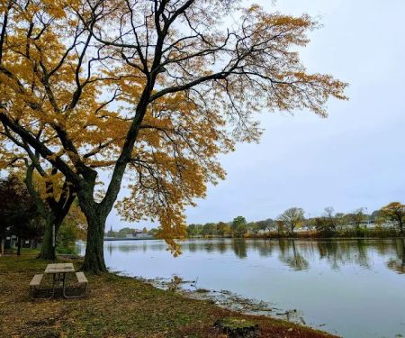 Daniel Morris Park