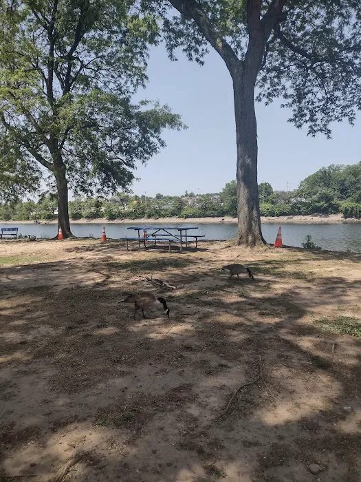 Daniel Morris Park Picture 5