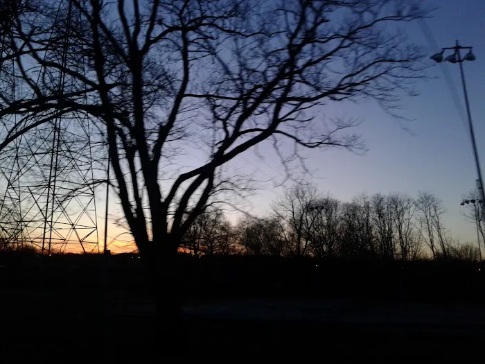 Daniel Morris Park Picture 4