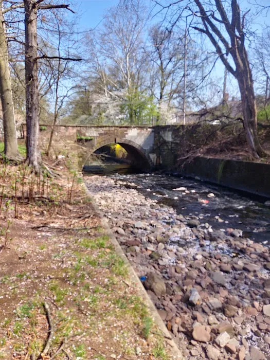 Branch Brook Lower Section Picture 3